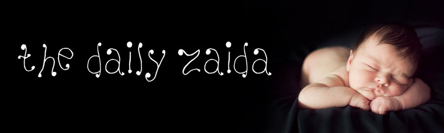 The Daily Zaida