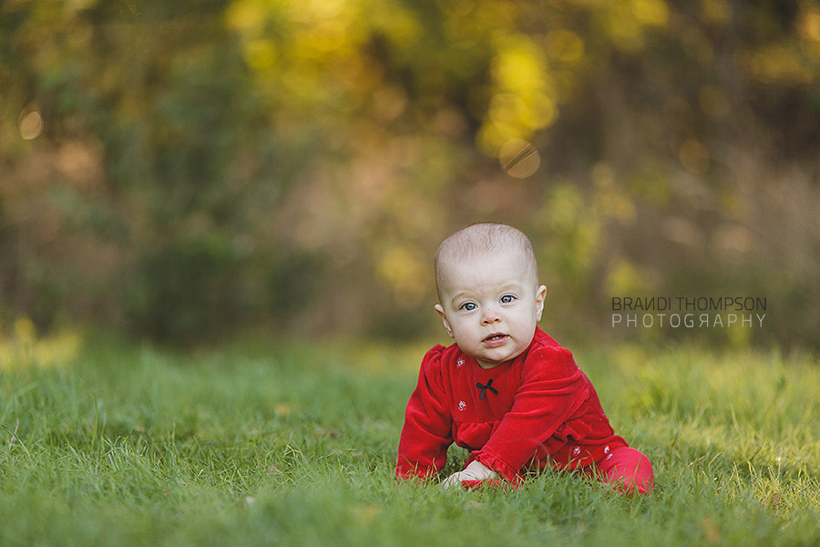 plano mini sessions, plano family photography