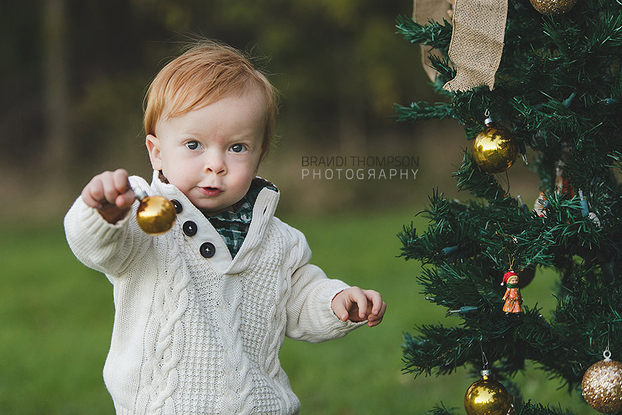 plano mini sessions, plano family photography