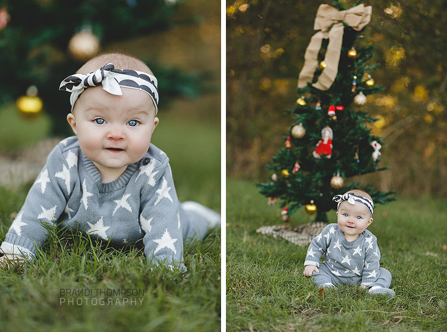 plano mini sessions, plano family photography