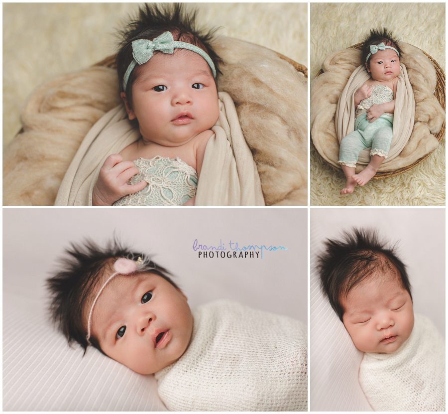 plano newborn photography studio