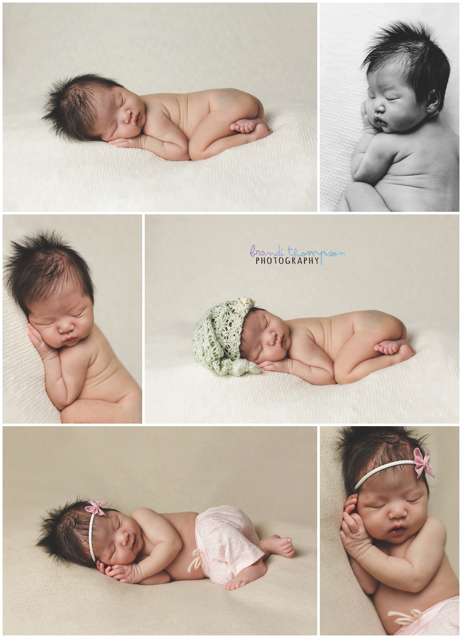 plano newborn photography studio