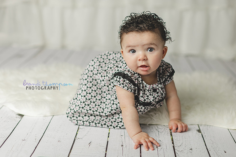 plano baby photographer