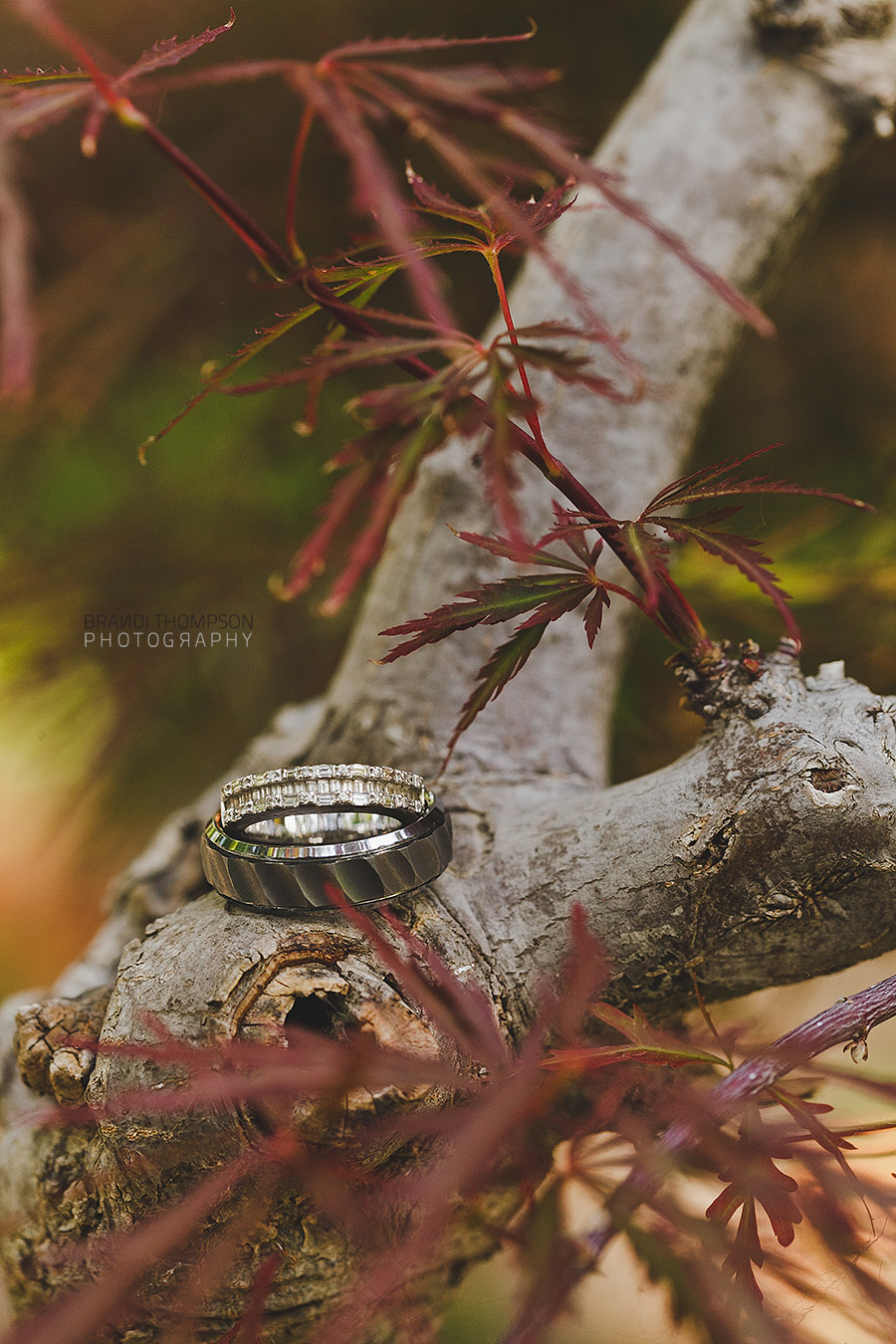 Fort Worth Japanese garden wedding photography