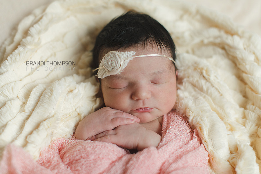 plano newborn photographer