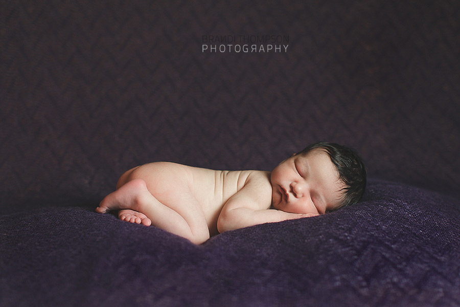 plano newborn photographer