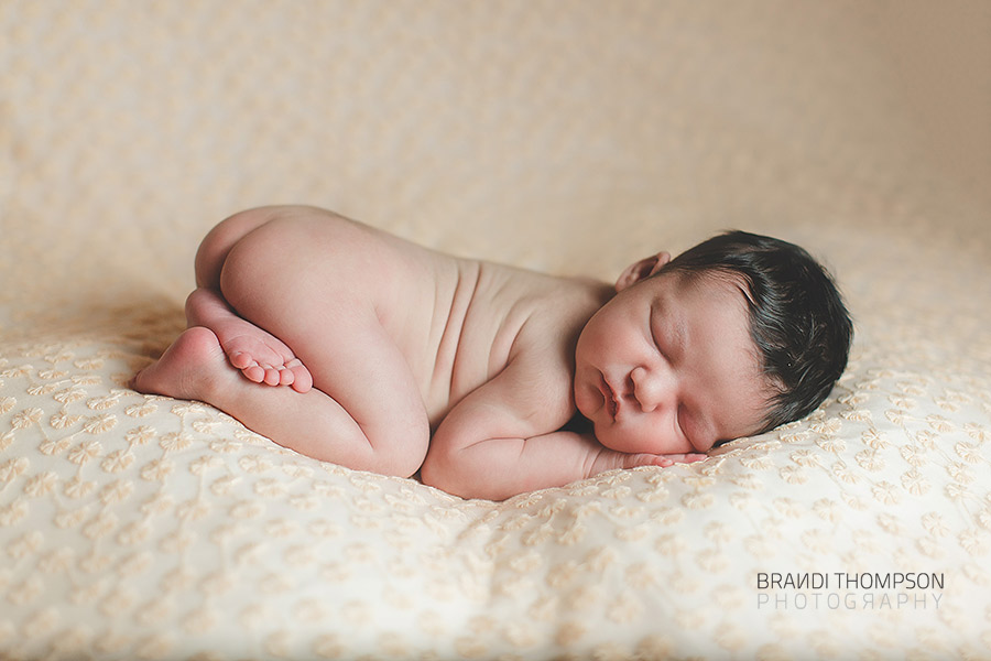 plano newborn photographer