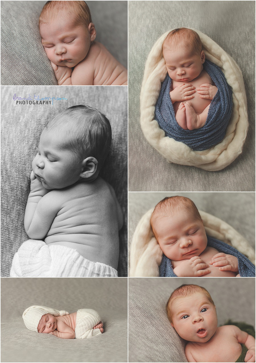 plano studio newborn photography