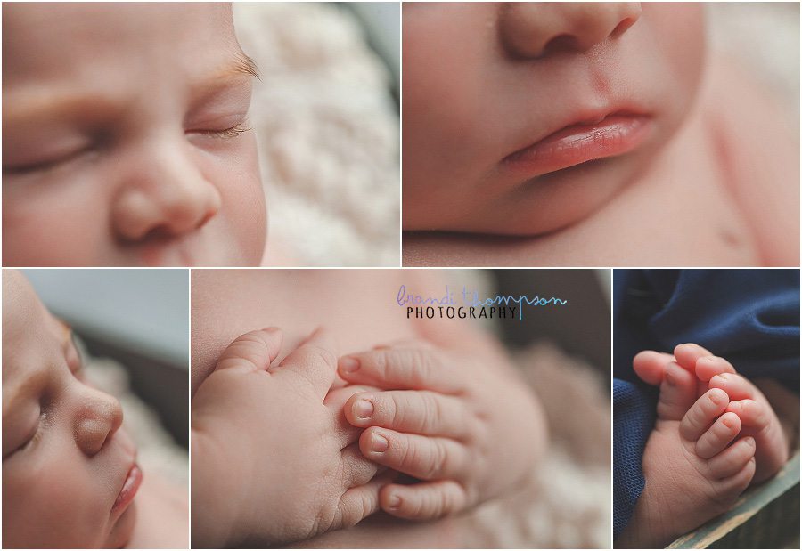 plano studio newborn photography