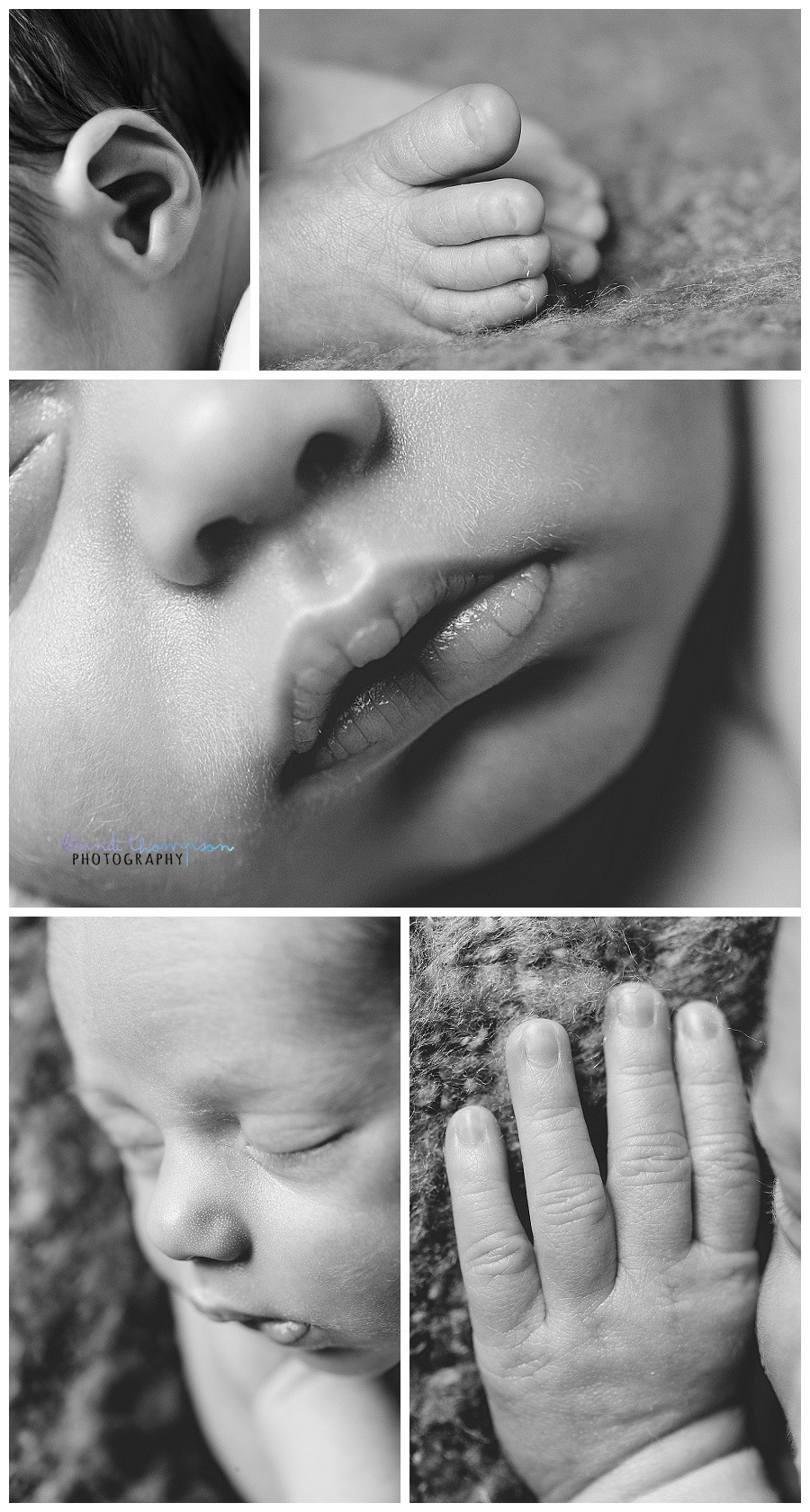 plano newborn photographer, frisco newborn photographer