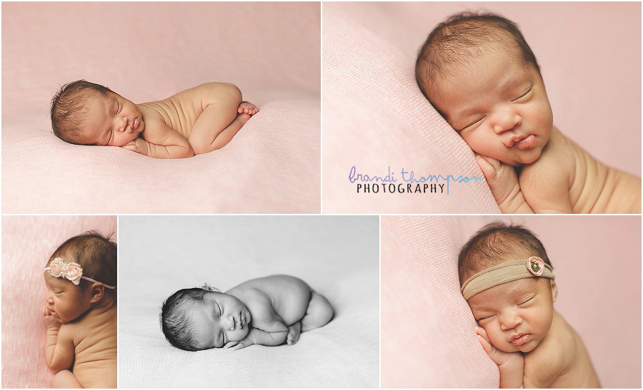 plano newborn photographer