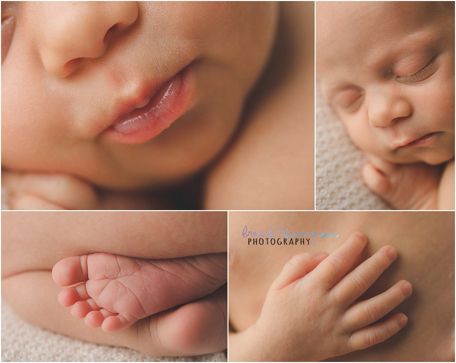 Plano studio newborn photography, newborn macro photography