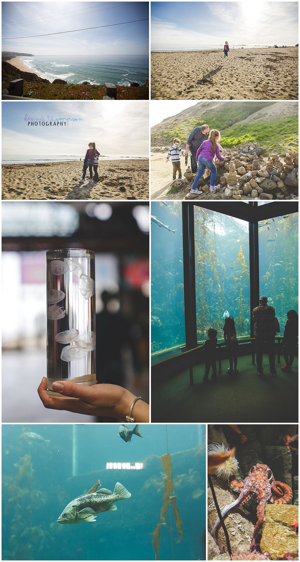 california beach and monterrey bay aquarium pictures