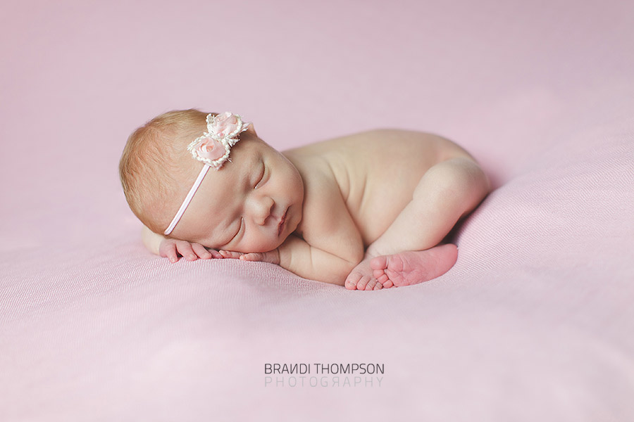 plano newborn photographer, frisco newborn photographer