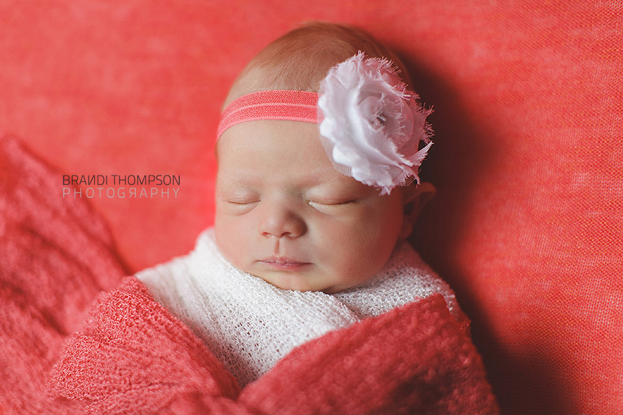 plano newborn photographer, frisco newborn photographer