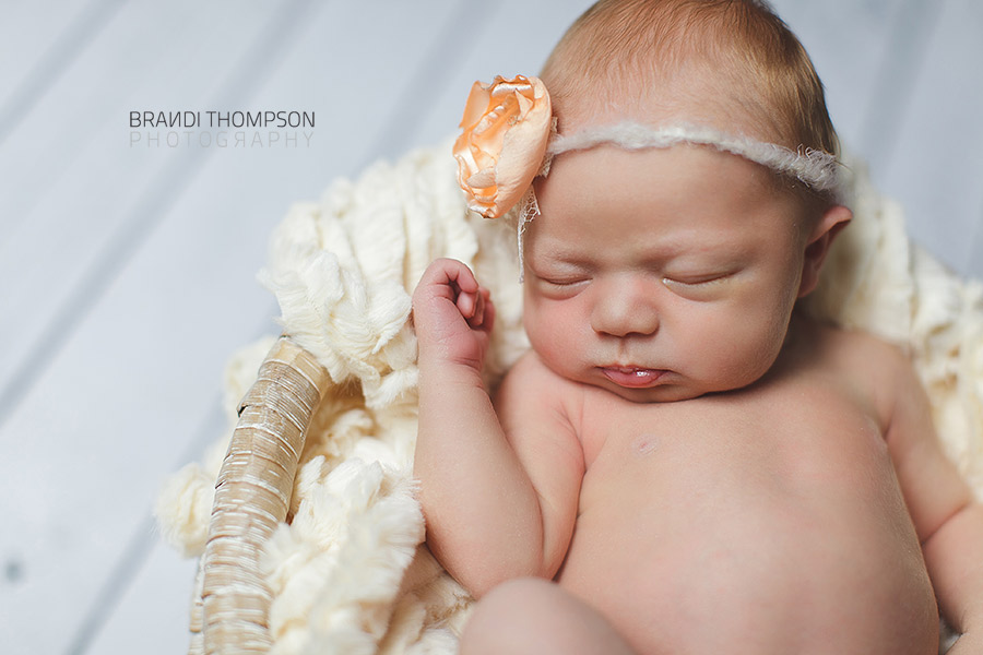 plano newborn photographer, frisco newborn photographer