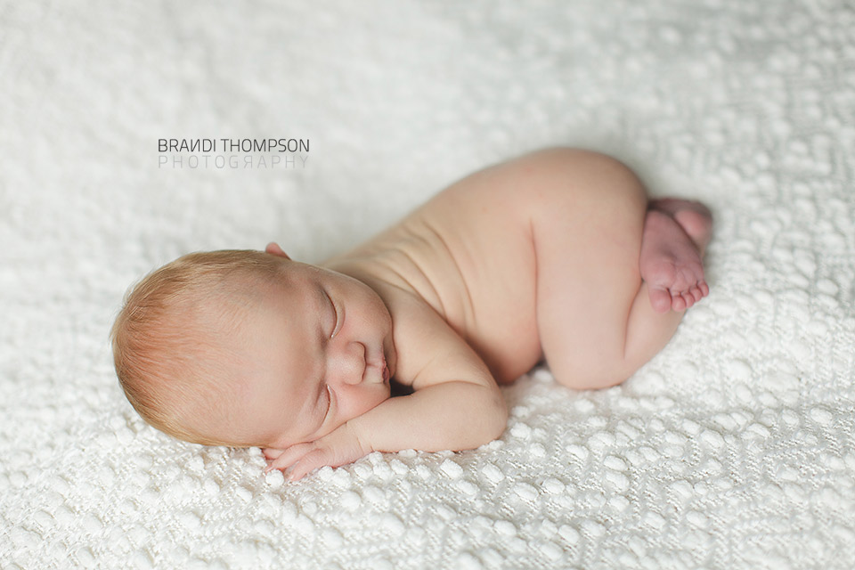 plano newborn photographer, frisco newborn photographer
