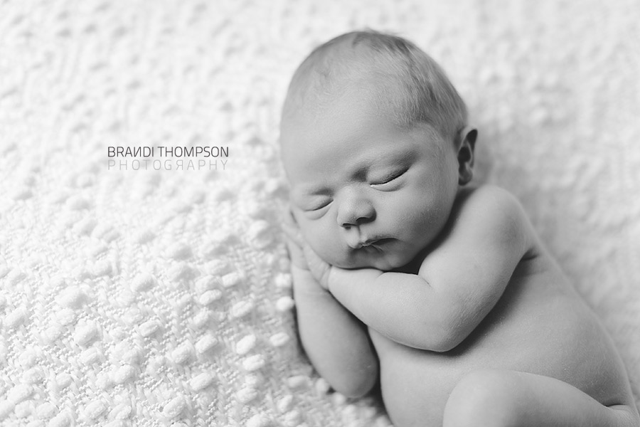 plano newborn photographer, frisco newborn photographer