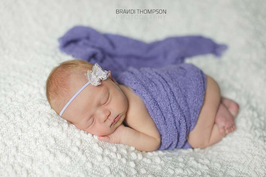 plano newborn photographer, frisco newborn photographer