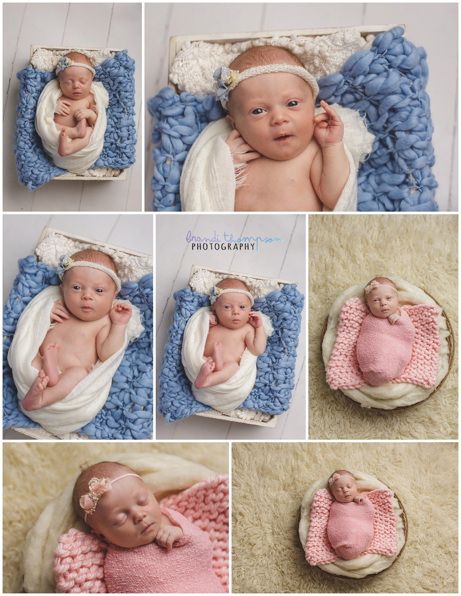 plano newborn photography in studio