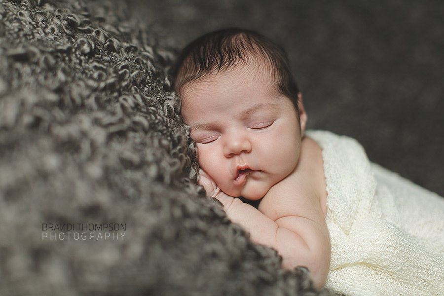 plano newborn photography