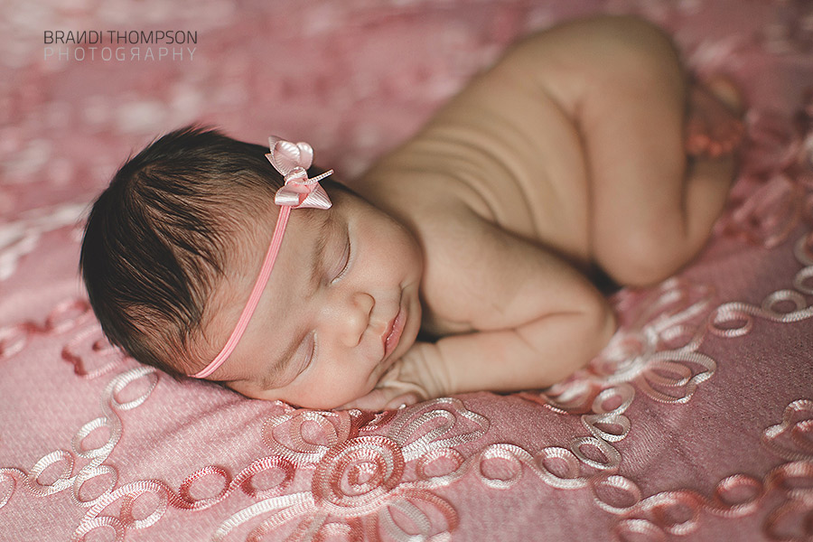 plano newborn photography