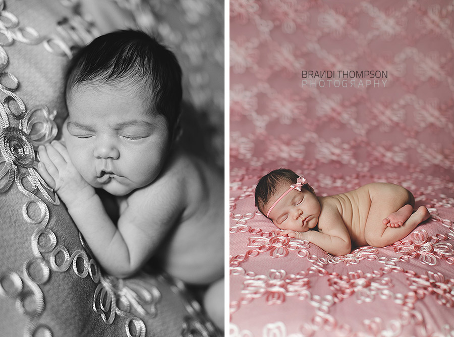 plano newborn photography