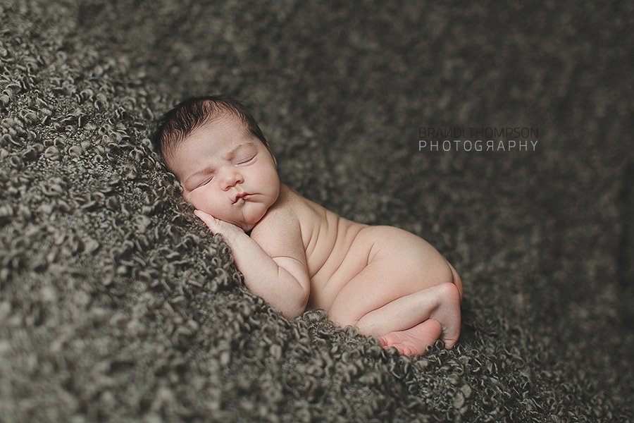 plano newborn photography