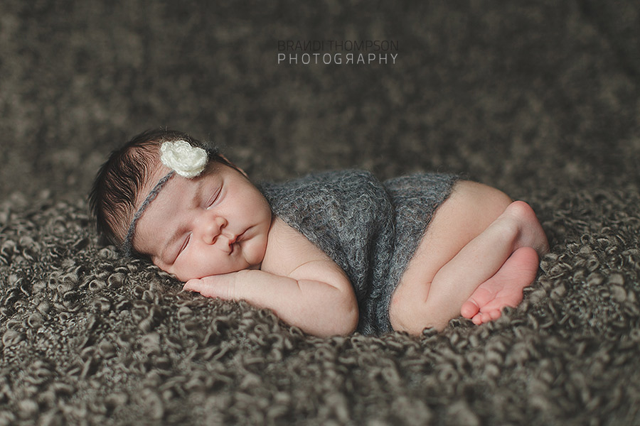 plano newborn photography