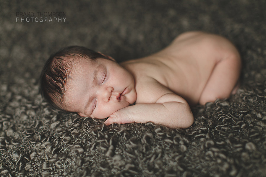 plano newborn photography