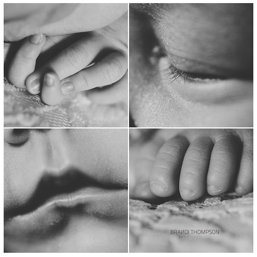 plano newborn photography