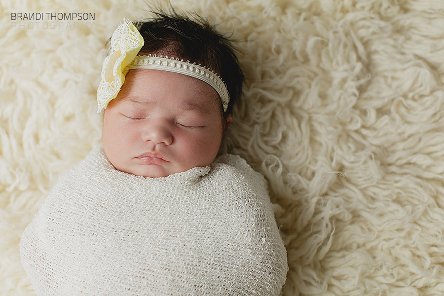 plano newborn photography