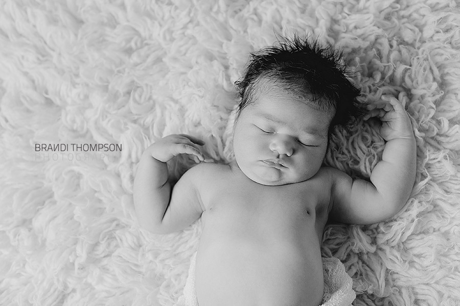 plano newborn photography