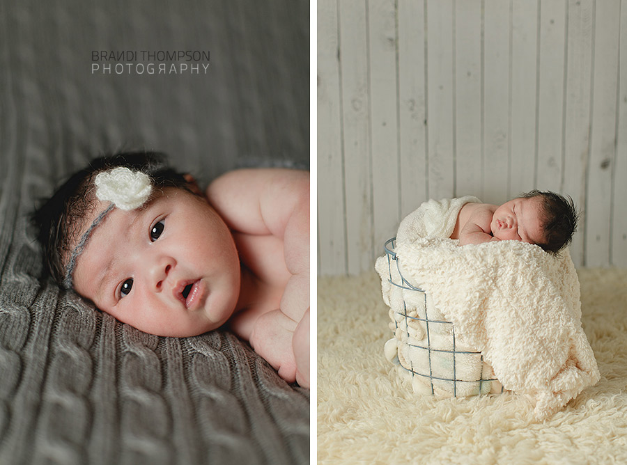 plano newborn photography