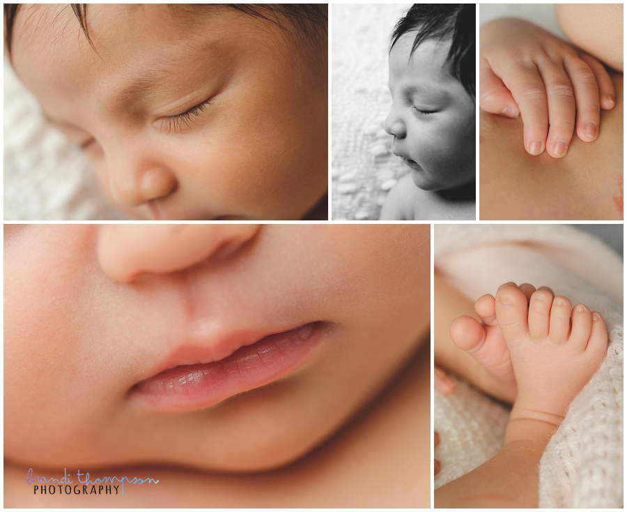 plano newborn photographer