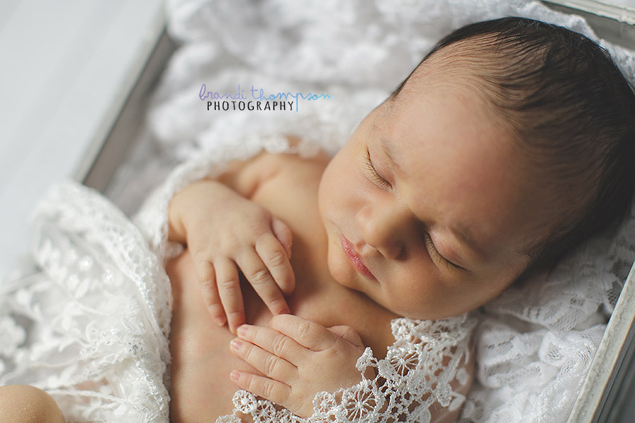 plano newborn photographer