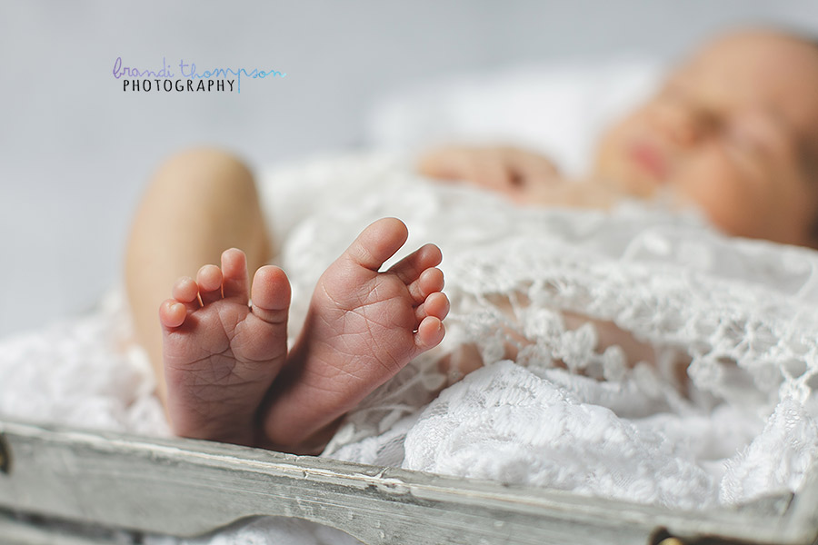 plano newborn photographer