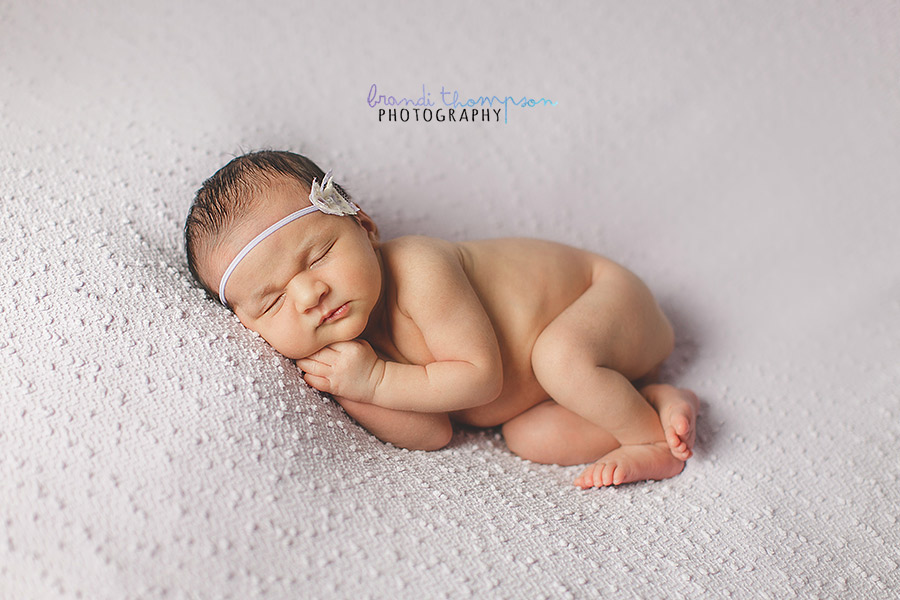 plano newborn photographer