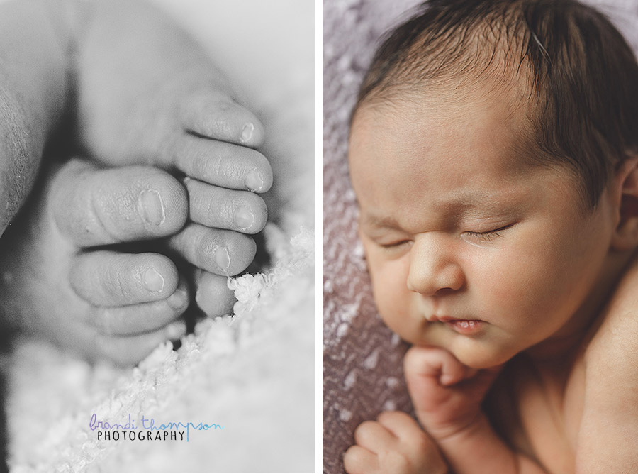 plano newborn photographer