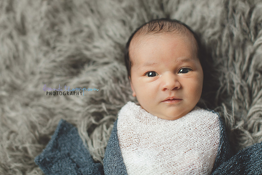 plano newborn photographer