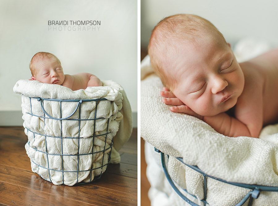 plano newborn photography