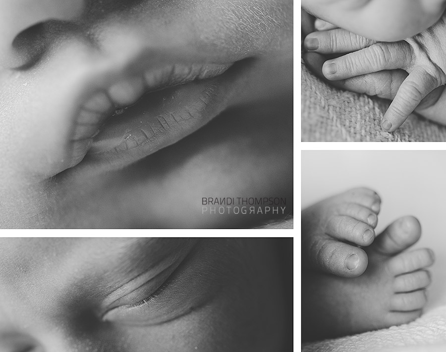 plano newborn photography