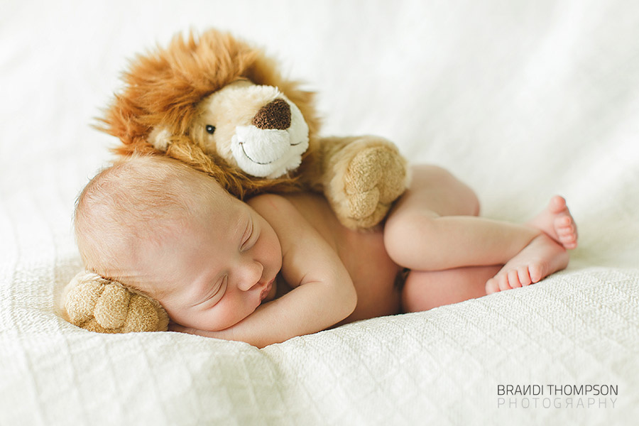 plano newborn photography