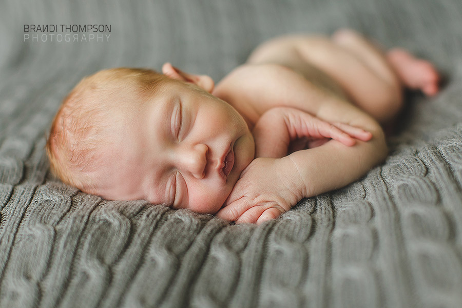 plano newborn photography