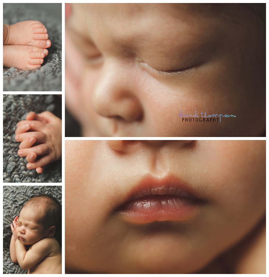 plano newborn photography