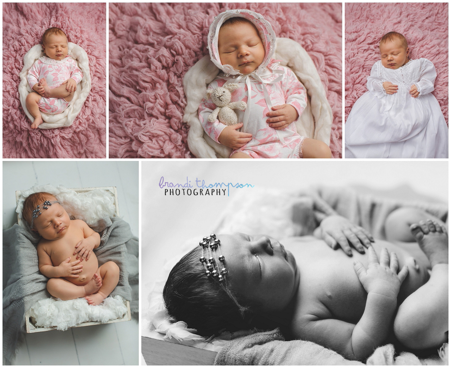 plano newborn photographer