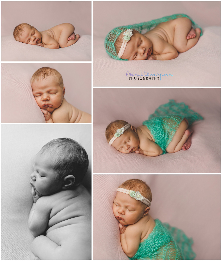 plano newborn photographer