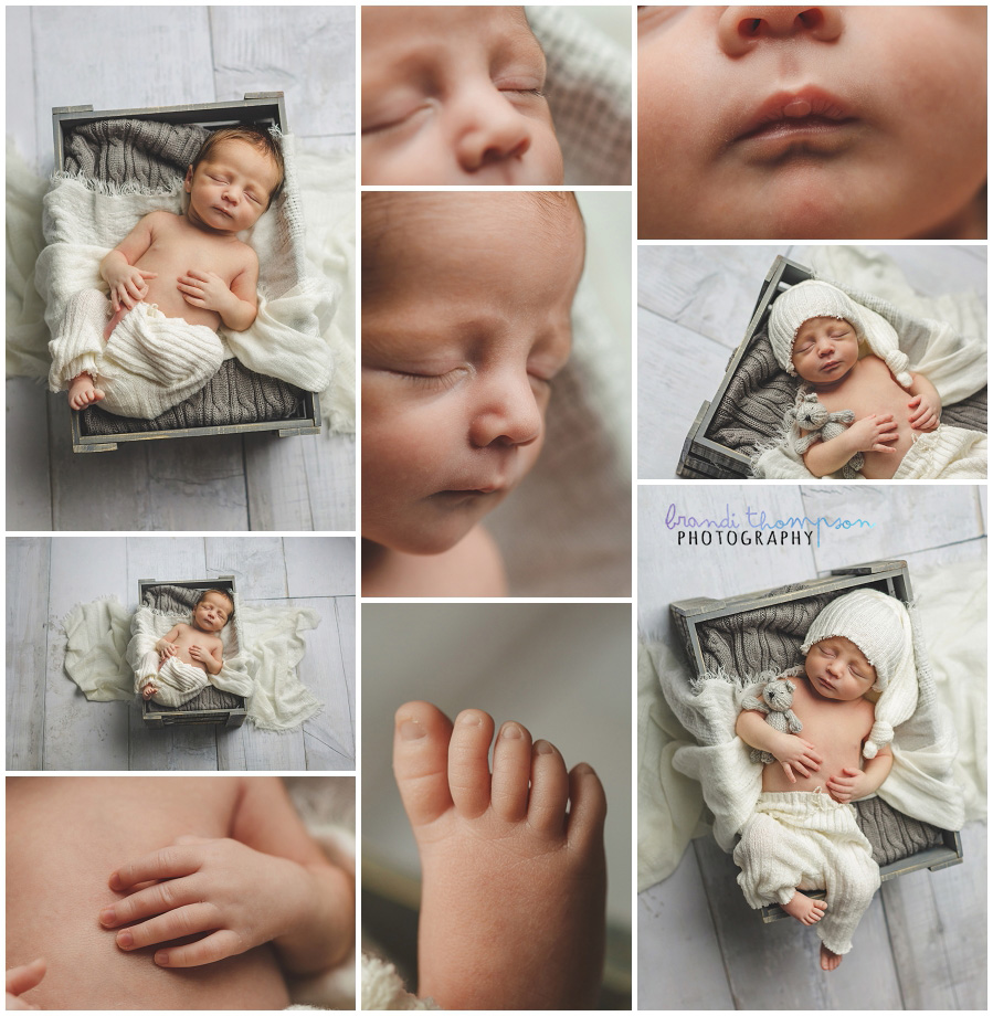 plano newborn twin photographer