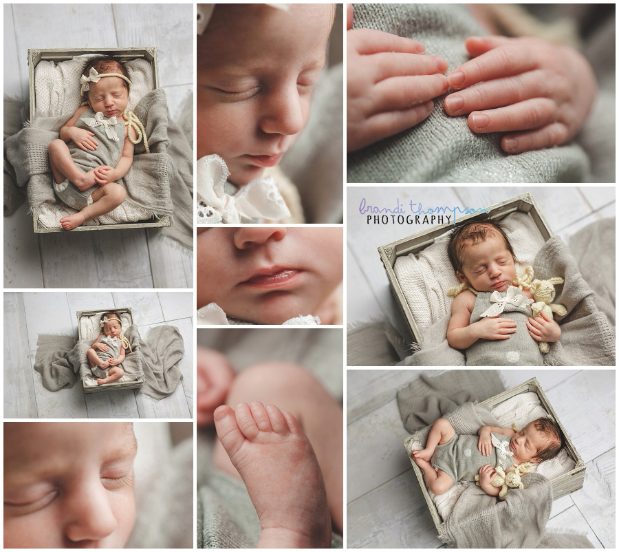 plano newborn twin photographer