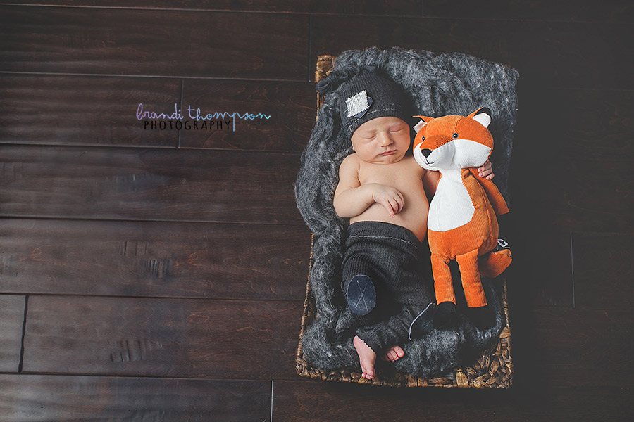 plano newborn photographer, frisco newborn photographer